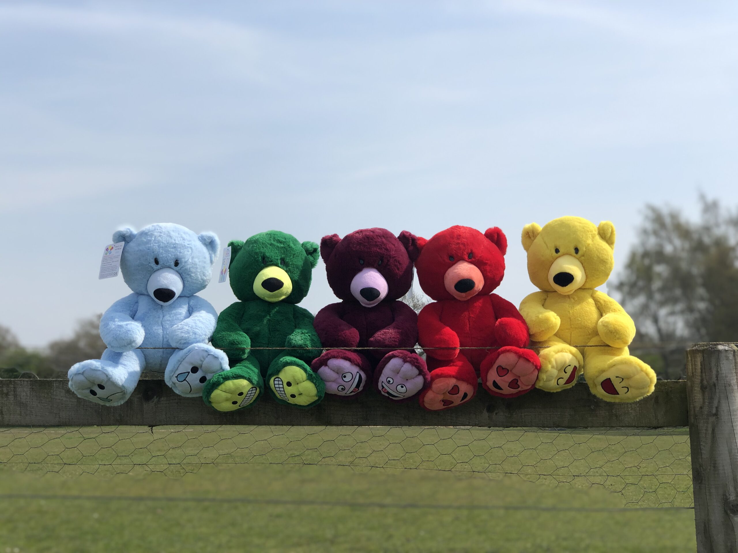 A range of teddy bears are sat on a fence in a garden.