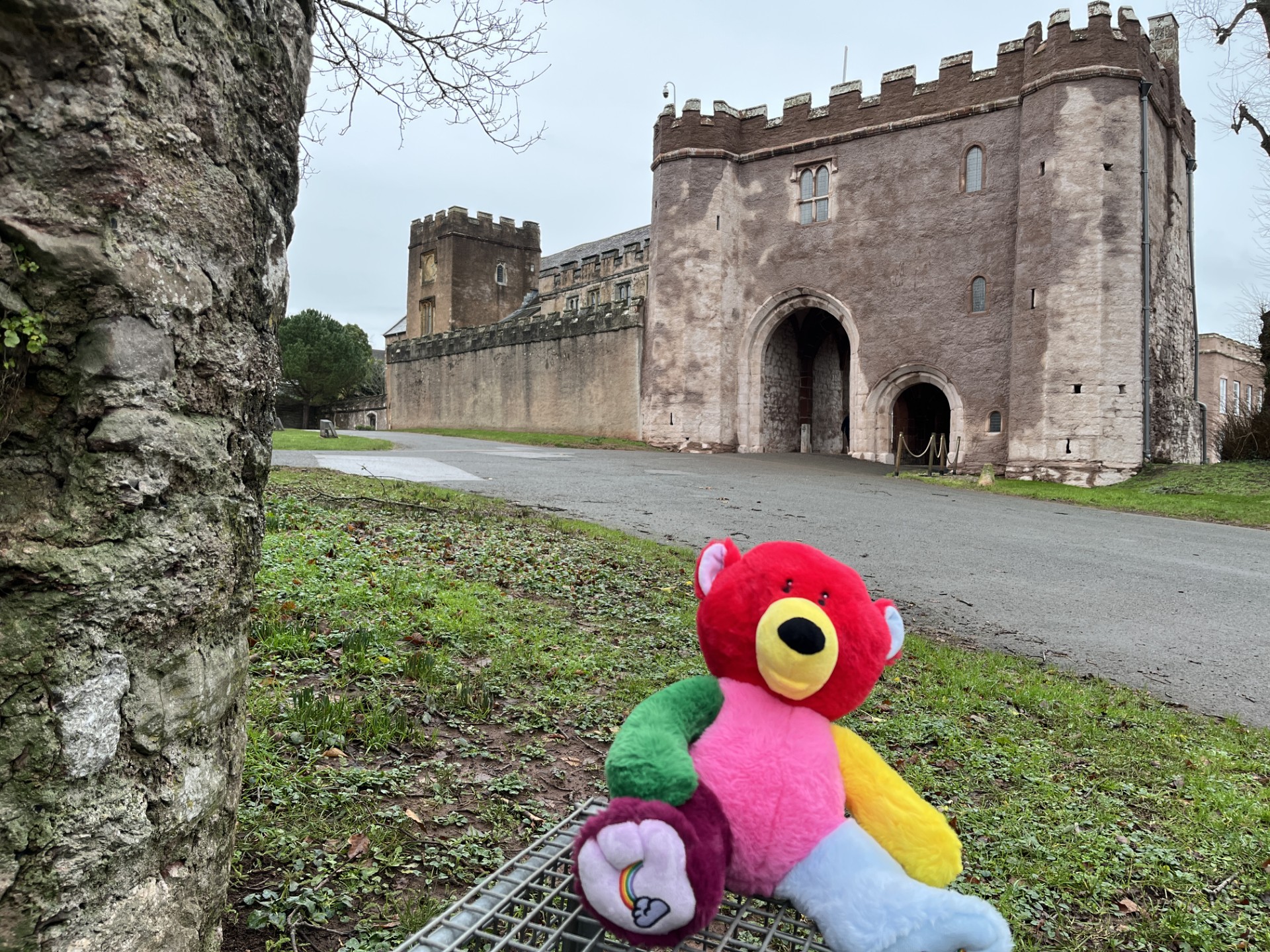 The photo shows Torre Abbey Spanish Barn in Torquay which is an old stone building. In the foreground is a bear sat on a wall.