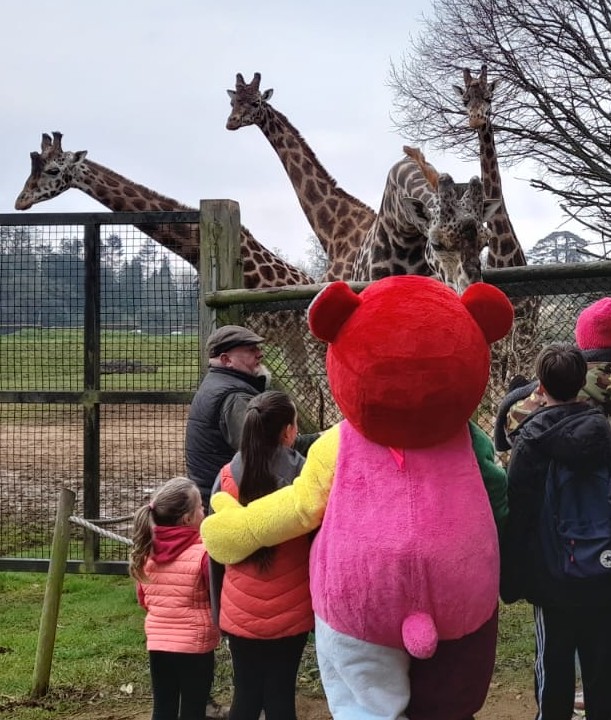 The image shows a group of people and a giant teddy bear stood in front of four giraffes.